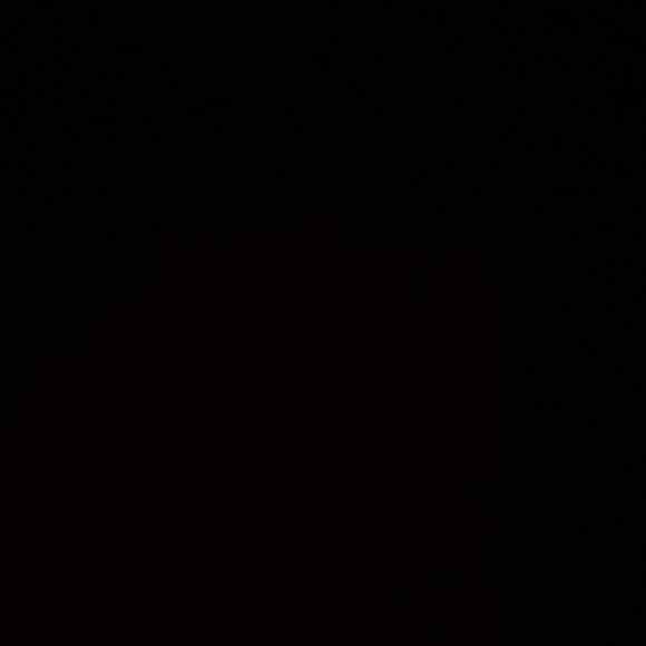 Meet your Posher, Landon - Picture 1 of 1